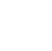 Our Vision Icon